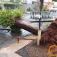 Fotos de Temporal causou transtornos e prejuízos na tarde de hoje em diversos pontos de Maringá