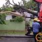 Fotos de Temporal causou transtornos e prejuízos na tarde de hoje em diversos pontos de Maringá