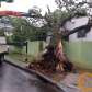 Fotos de Temporal causou transtornos e prejuízos na tarde de hoje em diversos pontos de Maringá