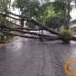 Fotos de Temporal causou transtornos e prejuízos na tarde de hoje em diversos pontos de Maringá