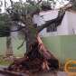 Fotos de Temporal causou transtornos e prejuízos na tarde de hoje em diversos pontos de Maringá