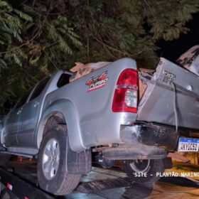 Fotos de Choque Maringá recupera duas Hilux e um caminhão roubado