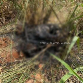 Fotos de Homem encontrado carbonizado dentro de mala em Paiçandu era motoboy de Maringá