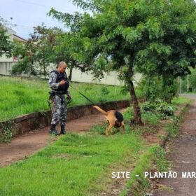 Fotos de Perseguição termina em acidente e troca de tiros entre criminoso e agentes da Guarda Civil Municipal de Sarandi