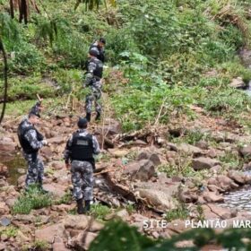 Fotos de Perseguição termina em acidente e troca de tiros entre criminoso e agentes da Guarda Civil Municipal de Sarandi