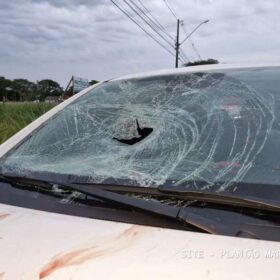 Fotos de Homem é intubado após ser atropelado e ir parar em cima de carro em Maringá