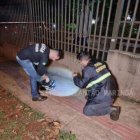 Fotos de Jovem morre em acidente de moto logo após deixar a casa da namorada, em Maringá