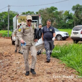 Fotos de Laudo do IML aponta que homem encontrado em córrego de Maringá, morreu vítima de afogamento