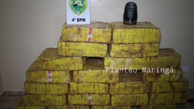 Fotos de Após perseguição ROTAM Paiçandu, apreende quase meia tonelada de maconha