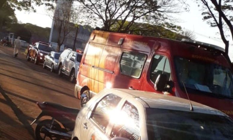 Fotos de Ataque de abelhas em escola de Sarandi, deixa crianças e adultos feridos