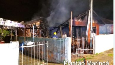 Fotos de Cachorro morre e casa fica destruída em possível incêndio criminoso em Maringá