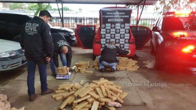 Fotos de Casal é preso com 200 quilos de maconha em Maringá