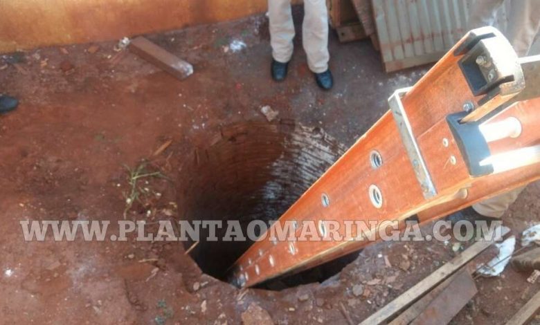 Fotos de Caso macabro em Paiçandu - homem é assassinado e enterrado dentro de fossa desativada