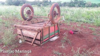 Fotos de Cavalo assustado provoca grave acidente com carroça em Sarandi