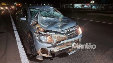 Fotos de Cavalo solto na rodovia BR-376 entre Sarandi e Marialva causa grave acidente