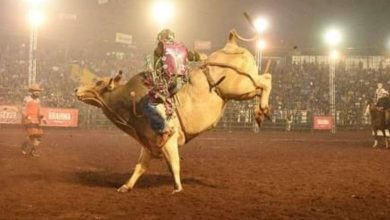 Fotos de Começa nesta sexta-feira o rodeio da Expoingá 2019, com peões renomados