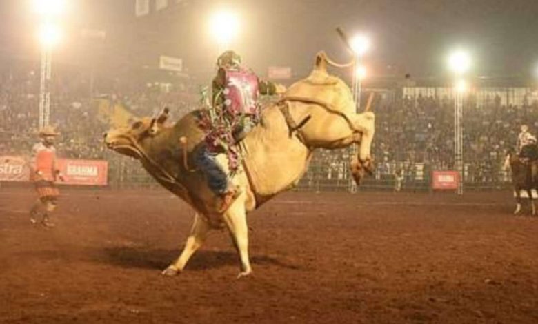 Fotos de Começa nesta sexta-feira o rodeio da Expoingá 2019, com peões renomados