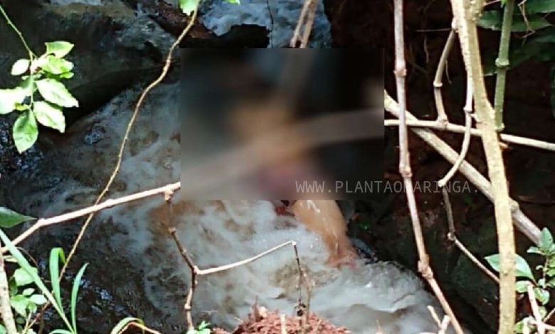 Fotos de Corpo é encontrado em riacho no limites de Maringá e Paiçandu