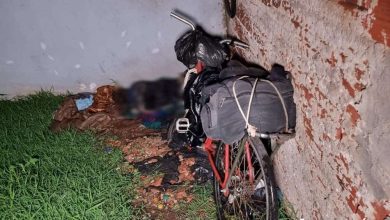 Fotos de Corpo em avançado estado de decomposição é encontrado em terreno baldio em Maringá