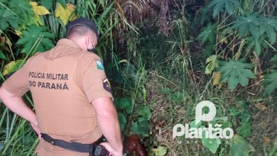 Fotos de Corpo em estado avançado de decomposição é encontrado no fundo de vale em Maringá