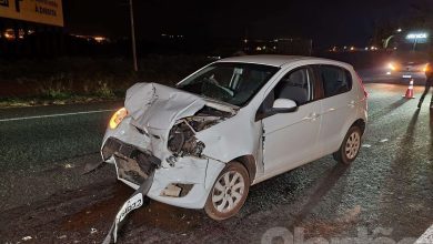 Fotos de Dois cavalos morrem após serem atropelados por vários carros em Sarandi