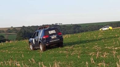 Fotos de Dois ladrões morrem após troca de tiros em Sarandi, diz PM