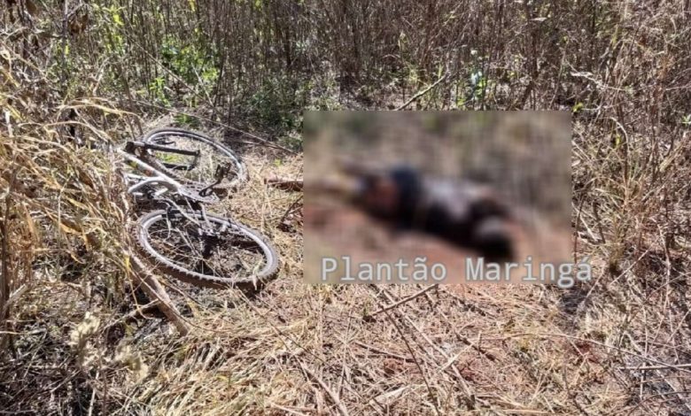 Fotos de Encontro de cadáver em terreno baldio em Sarandi