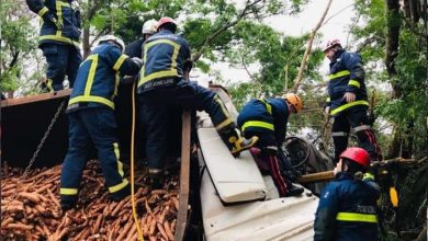 Fotos de Grave - motorista fica preso nas ferragens de caminhão na PR-317