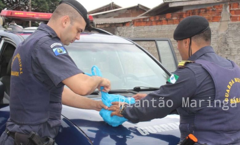 Fotos de Guarda municipal encontra mais de meio quilo de crack em terreno baldio em Sarandi