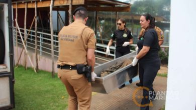 Fotos de Homem é encontrado morto na Zona 5 em Maringá