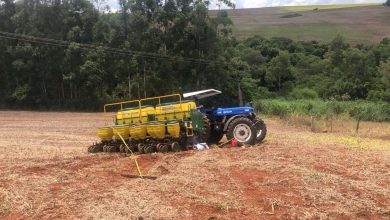 Fotos de Homem morre atropelado pelo próprio trator na zona rural de Astorga