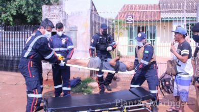 Fotos de Homem sofre tentativa de homicídio e leva dois tiros em Maringá