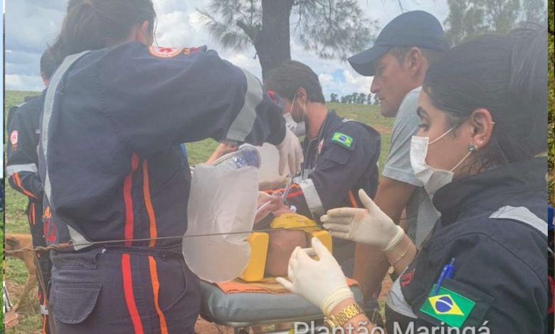 Fotos de Homem tem pescoço perfurado por chifre de boi na região de Maringá