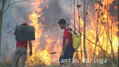 Fotos de Incêndio atinge antigo clube vale azul em Sarandi e destróI 4 hectares de vegetação