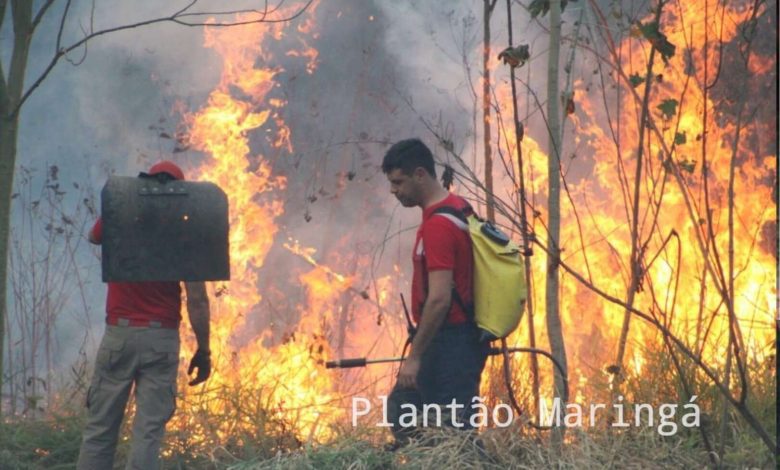 Fotos de Incêndio atinge antigo clube vale azul em Sarandi e destróI 4 hectares de vegetação