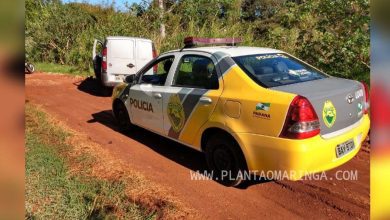 Fotos de Maringá; ladrões invadem transportadora, arrombam cofre e fogem com dinheiro e mercadoria