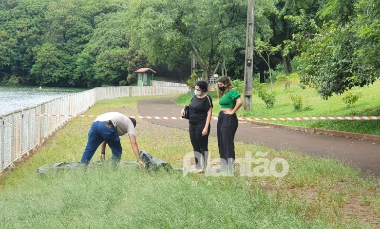 Fotos de Mulher é encontrada morta em lago do parque Alfredo Nyffeler, em Maringá