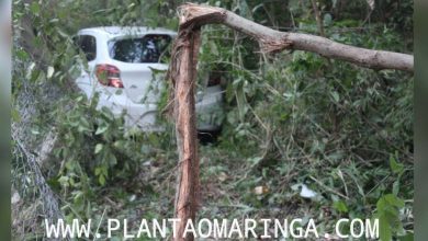 Fotos de Mulher perde o controle e carro vai parar, dentro do bosque 2, em Maringá