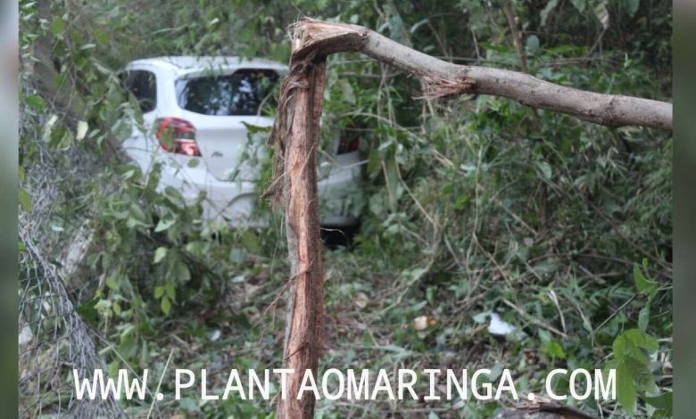 Fotos de Mulher perde o controle e carro vai parar, dentro do bosque 2, em Maringá