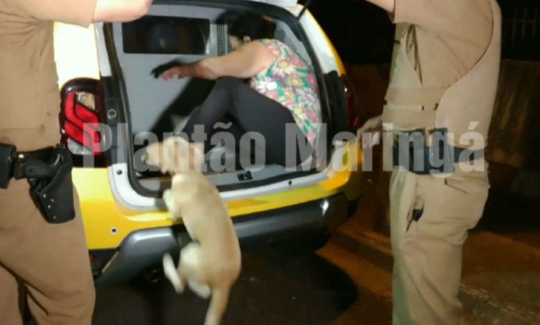 Fotos de O melhor amigo: cão entra em viatura policial para acompanhar o dona presa; vídeo