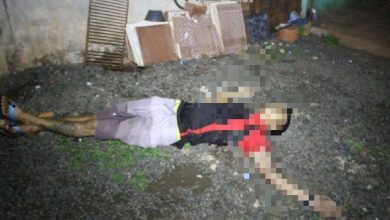 Fotos de Polícia acha grande quantidade de drogas em imóvel de casal morto em Sarandi