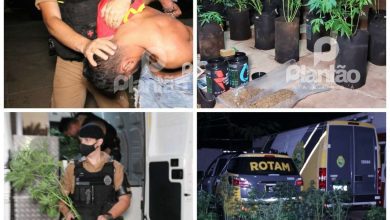 Fotos de Polícia Militar encontra estufa de maconha em Maringá