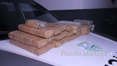 Fotos de Polícia apreende quase 30 quilos de maconha em Sarandi