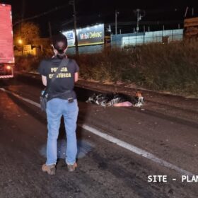 Fotos de Idosa morre atropelada por caminhão em Sarandi