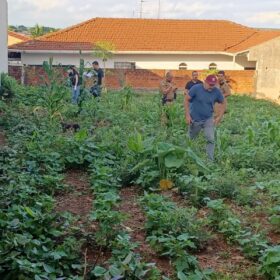 Fotos de Jovem de 25 anos é encontrado morto em terreno baldio em Mandaguaçu