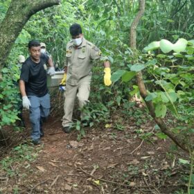 Fotos de Corpo em avançado estado decomposição é encontrado em um córrego em Maringá