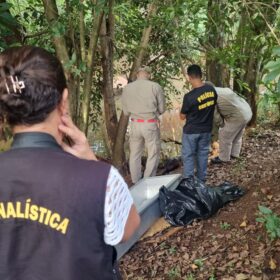 Fotos de Corpo em avançado estado decomposição é encontrado em um córrego em Maringá