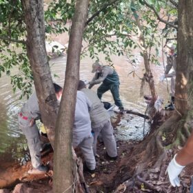 Fotos de Corpo em avançado estado decomposição é encontrado em um córrego em Maringá