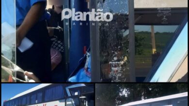 Fotos de Criminosos atiram contra motorista durante roubo a ônibus