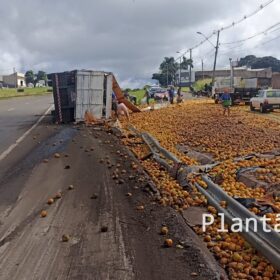 Fotos de Carreta carregada com laranja tomba no Contorno Norte em Maringá e carga é saqueada